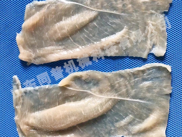 雞胸肉切片機(jī)廠(chǎng)家